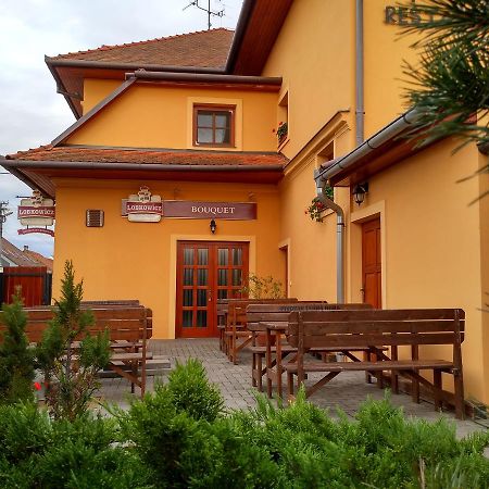 Penzion Bouquet Horni Vestonice Bagian luar foto