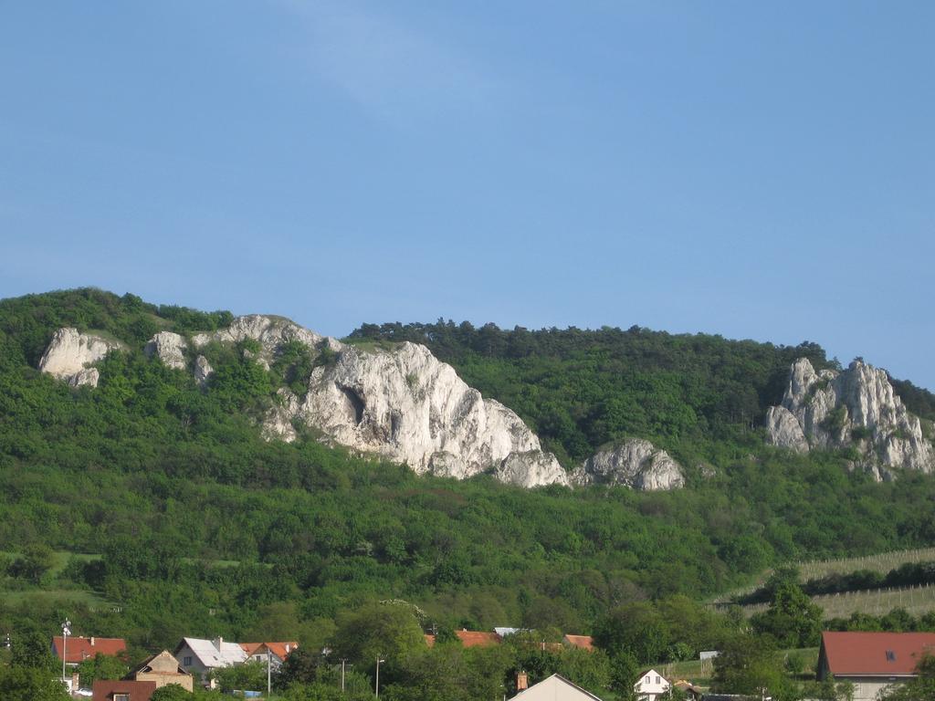 Penzion Bouquet Horni Vestonice Bagian luar foto