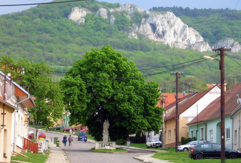 Penzion Bouquet Horni Vestonice Bagian luar foto