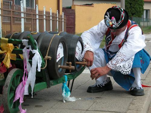 Penzion Bouquet Horni Vestonice Bagian luar foto
