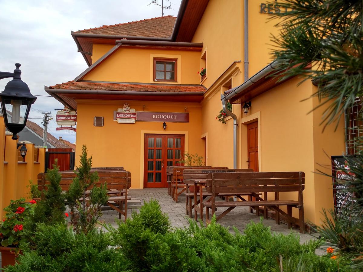 Penzion Bouquet Horni Vestonice Bagian luar foto